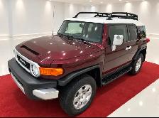 2007 Toyota FJ Cruiser Safari Pkg 4WD - Outstanding Condition Tr - Photo 7