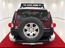 2007 Toyota FJ Cruiser Safari Pkg 4WD - Outstanding Condition Tr - Photo 8