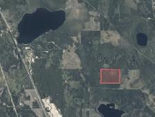 107 AC in Northern Ontario! Timmins, ON Bordering Crown & Lake! - Photo 7