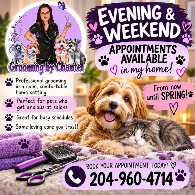 Grooming for small and Medium size dogs