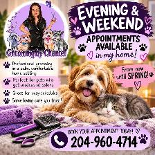 Grooming for small and Medium size dogs