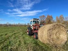 1300lb round bales  Alder flats Alberta - Photo 2