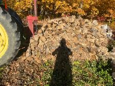 bois de chauffage a vendre st-isidore de la prairie - Photo 2