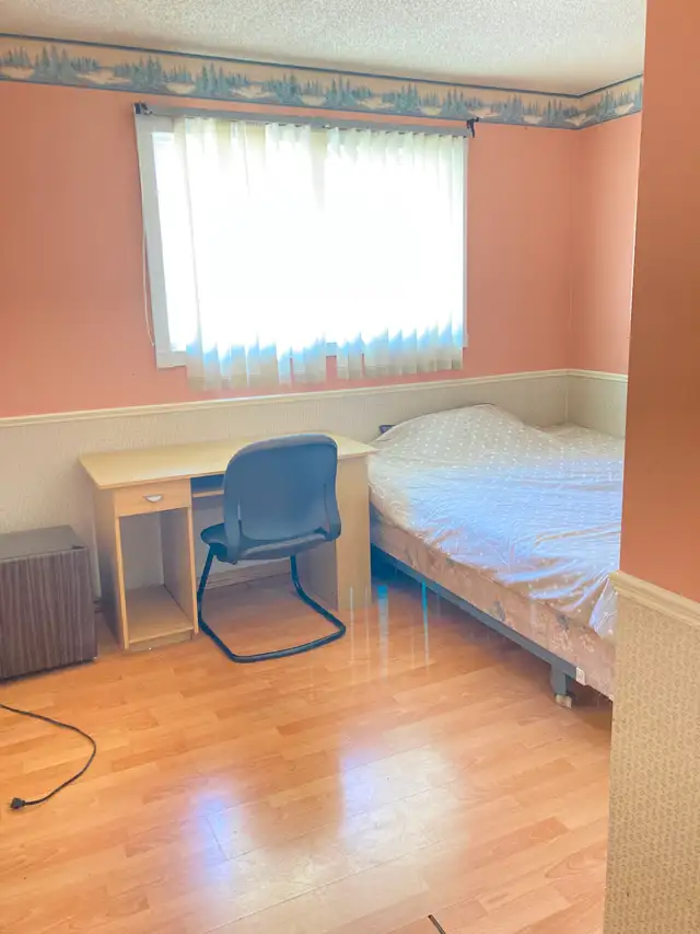 EdgemontNW Upstairs room incl utility share bath w1guy EZtransit