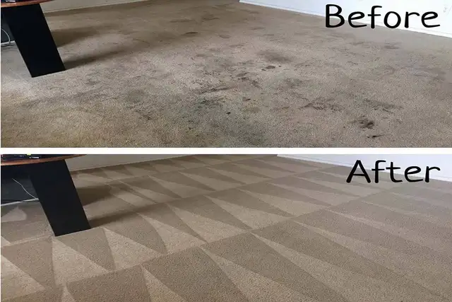 Nettoyage tapis, sofa et vitres