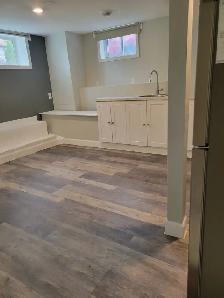 Newly Renovated 2-bedroom basement apartment in Westboro - Photo 5