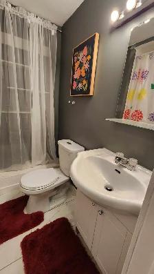 Newly Renovated 2-bedroom basement apartment in Westboro - Photo 9