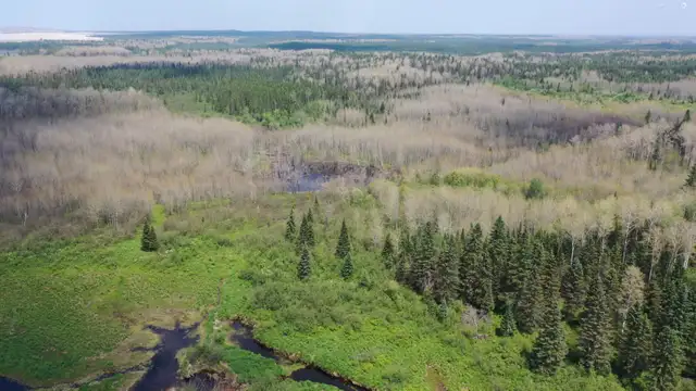 27 Acre Waterfront Land in Northern Ontario Near Timmins!