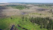 27 Acre Waterfront Land in Northern Ontario Near Timmins!