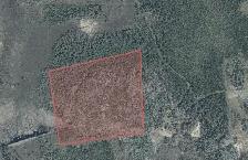 34.4 Acres of Northern Ontario Land Bordering Crown Land Hunting - Photo 2