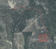 34.4 Acres of Northern Ontario Land Bordering Crown Land Hunting - Photo 3
