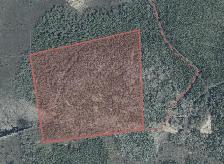 34.4 Acres of Northern Ontario Land Bordering Crown Land Hunting - Photo 4