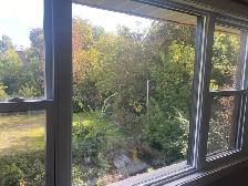 3 bedroom gem - Newly renovated - Photo 8