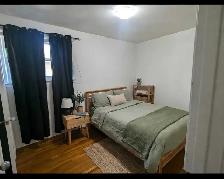 3 Bdrm House for Rent – Brampton (Kennedy & Steeles) - Photo 5