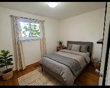 3 Bdrm House for Rent – Brampton (Kennedy & Steeles) - Photo 6