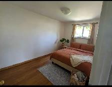 3 Bdrm House for Rent – Brampton (Kennedy & Steeles) - Photo 7