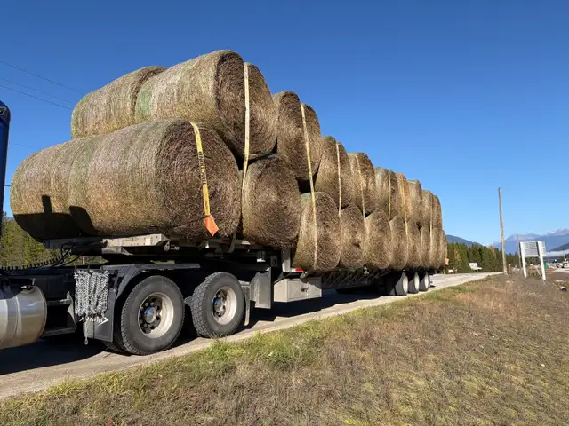Cow hay - grass alfalfa rounds