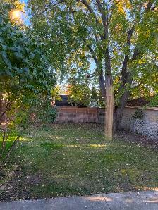 LIKE NEW 202 Muriel Cres 3b 2 bath FR/fireplace yard Park 3cars - Photo 8
