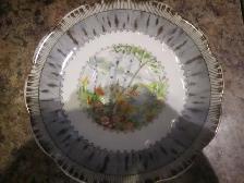 Royal Albert SILVER BIRCH fine bone china - Photo 2