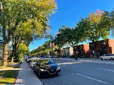 4 1/2 rénové - Montreal-Nord , secteur recherche, dispo. 1 nov.