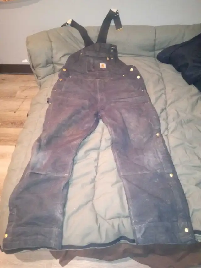 Carhartt insulated coveralls