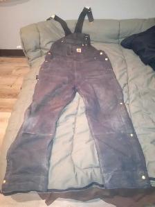 Carhartt insulated coveralls