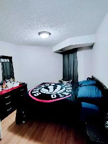 2 Bedroom Condo Available Immediately - Etobicoke - Photo 2