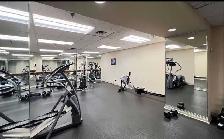2 Bedroom Condo Available Immediately - Etobicoke - Photo 9