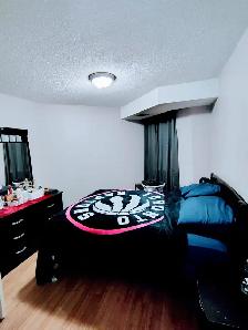 Condo For Rent Etobicoke - Photo 8