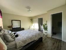 Spacious 4 Bedroom Semi-Detached House for Rent - Brampton - Photo 5