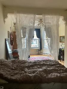 5 1/2 2 chambres fermées à hochelaga PET FRIENDLY - Photo 2