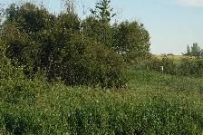 Bluebird Way rural residential in Blucher RM - Photo 7