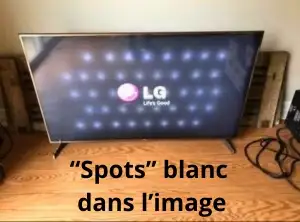 Reprise de téléviseurs écran plat défectueux (46' et plus)
