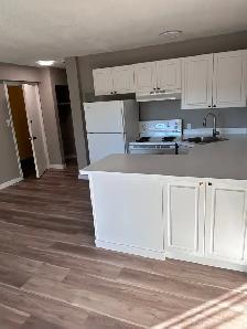 One B/R apartment for rent in Beltline (downtown) Calgary - Photo 2