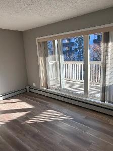 One B/R apartment for rent in Beltline (downtown) Calgary - Photo 4