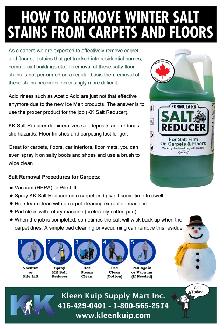 Winter Salt Stain Remover – Car Mats, Carpets & Floors - Photo 4