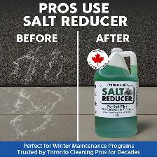 Winter Salt Stain Remover – Car Mats, Carpets & Floors - Photo 6