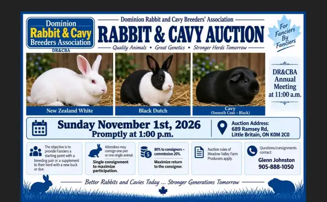 DRCBA rabbit and cavy  Auction Nov.1-2026