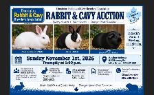 DRCBA rabbit and cavy  Auction Nov.1-2026
