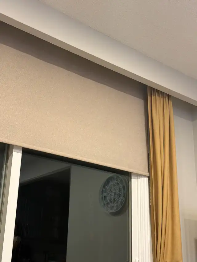 Zebra Blinds Roller Shades from 3B