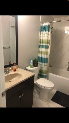 Room for Rent, Great location, Quiet, U of A - Photo 6