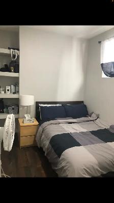 Room for Rent, Great location, Quiet, U of A - Photo 9