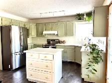 cabinet refinisher available