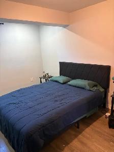 Two bedroom basement apartment to rent in Brampton - Photo 6