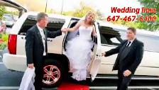 MISSISSAUGA LIMO SERVICE -BRAMPTON LIMOUSINE RENTAL - Photo 7