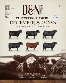 Bred Heifers - Photo 7