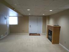 Pickering Basement Apartment for Rent (Brock Rd/Major Oaks Rd) - Photo 4