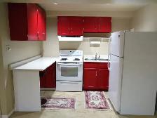 Pickering Basement Apartment for Rent (Brock Rd/Major Oaks Rd) - Photo 5