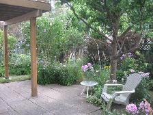 Pickering Basement Apartment for Rent (Brock Rd/Major Oaks Rd) - Photo 7
