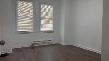 Newly Renovated 4 Bedroom, 2 Bathroom House for Rent (St. Vital) - Photo 5